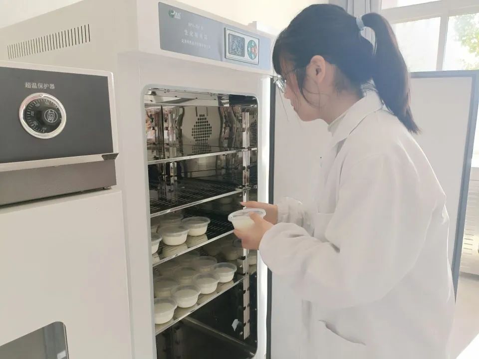 食品工程